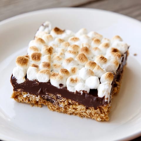 A close-up of golden, melted chocolate topped with toasted marshmallows in these easy Smores Bars.
